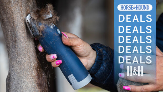 Lister Eclipse clippers being used on a horse with a Horse & Hound deals logo
