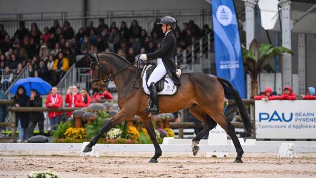 Emily King and Valmy Biats in the dressage at Pau Horse Trials 2024.