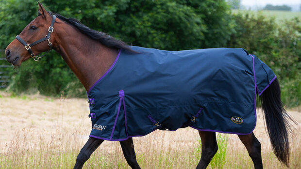 Best rain sheets for horses to protect from showers | Horse & Hound