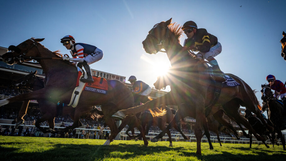 Horses racing in Breeders' Cup Juvenile Fillies Turf in 2024