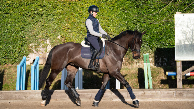 Tom McEwen schooling MHS Brown Jack at home