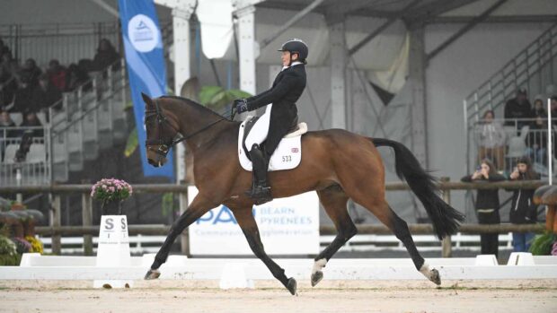 Selina Milnes and Cooley Snapchat in the dressage at Pau Horse Trials.