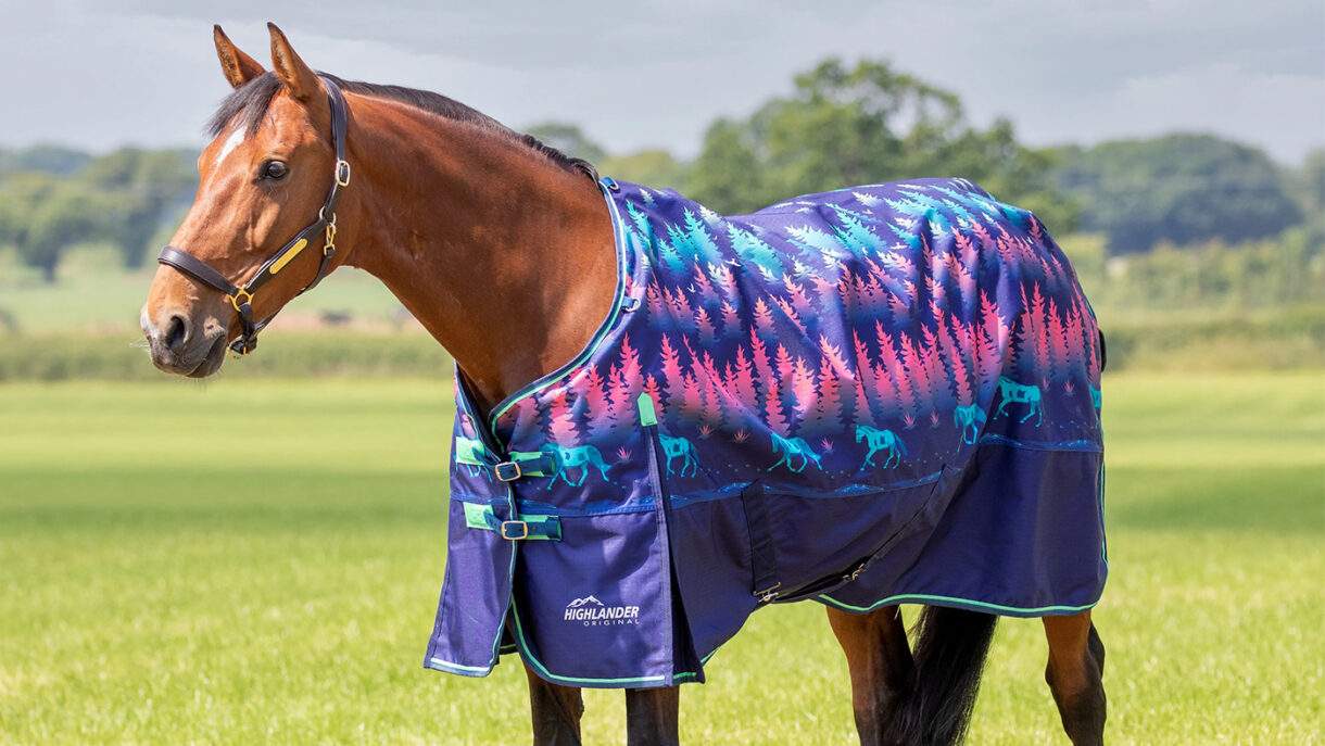 Best rain sheets for horses to protect from showers Horse & Hound