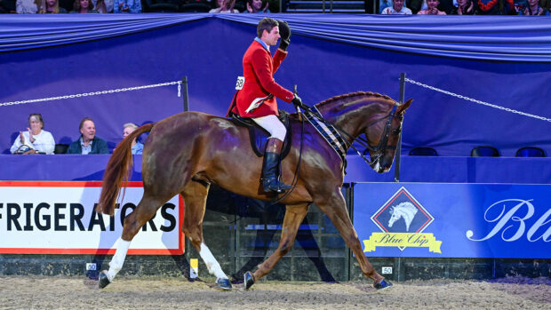 2024 HOYS supreme horse of the year