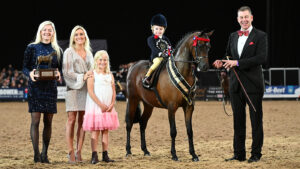 HOYS Supreme pony champions
