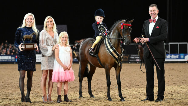 Mini champion Derw Dream Boy stood HOYS supreme pony last year. The HOYS 2025 supreme judge will be Lisha Leeman.