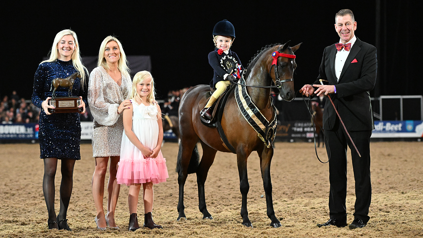 HOYS Supreme pony champions