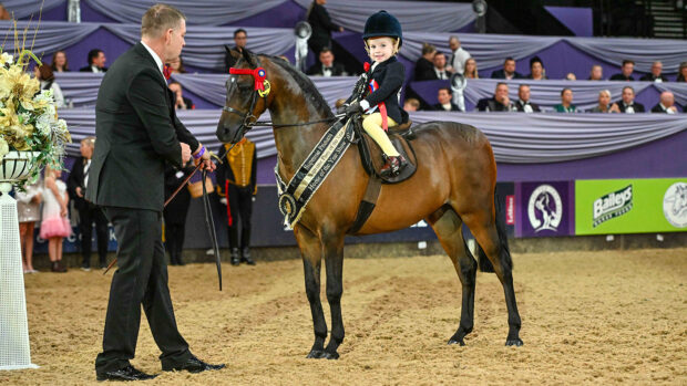 HOYS Supreme pony champions