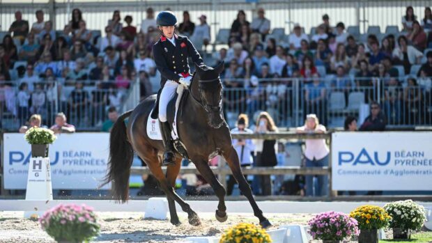 Tom McEwen and Brookfield Quality are the overnight leaders after day one of dressage at Pau Horse Trials 2024.