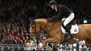 Jos Verlooy and Igor, who has been retired at the age of 16.