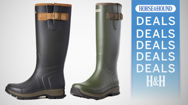 Ariat Burford wellington boots with H&H deal graphic