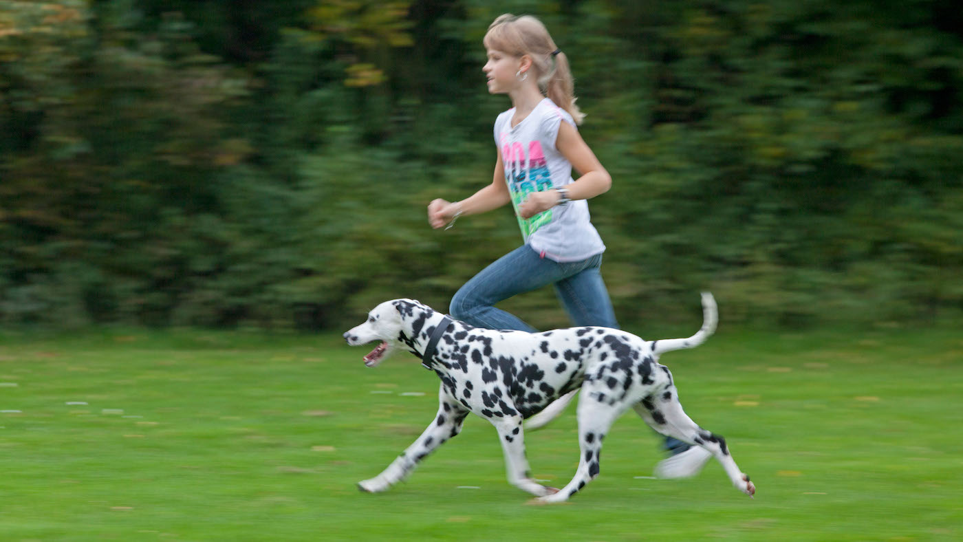 Dalmatian running alongside young girl