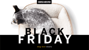 Black Friday Dog Bed Deals graphic