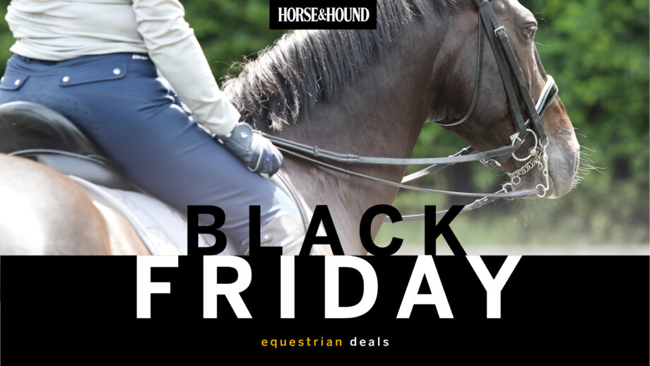 Black Friday equestrian deals graphic with Horse & Hound logo
