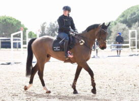Jennifer Thompson riding Medoc De Toxandria in Spain as a five-year-old. She shares her thoughts on how to train a young horse.