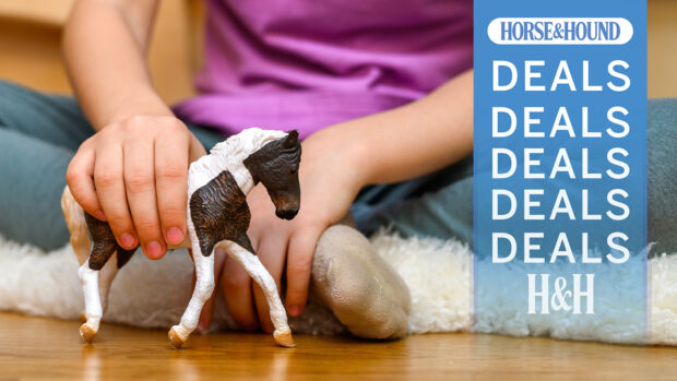 Child playing with a toy pony. H&H deals overlay