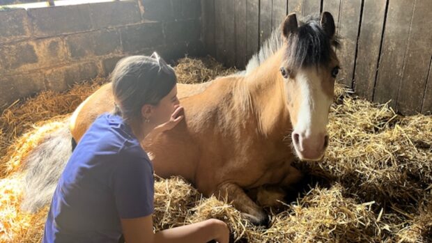 Wirral Riding Centre won the 2024 Changing Lives through Horses award.