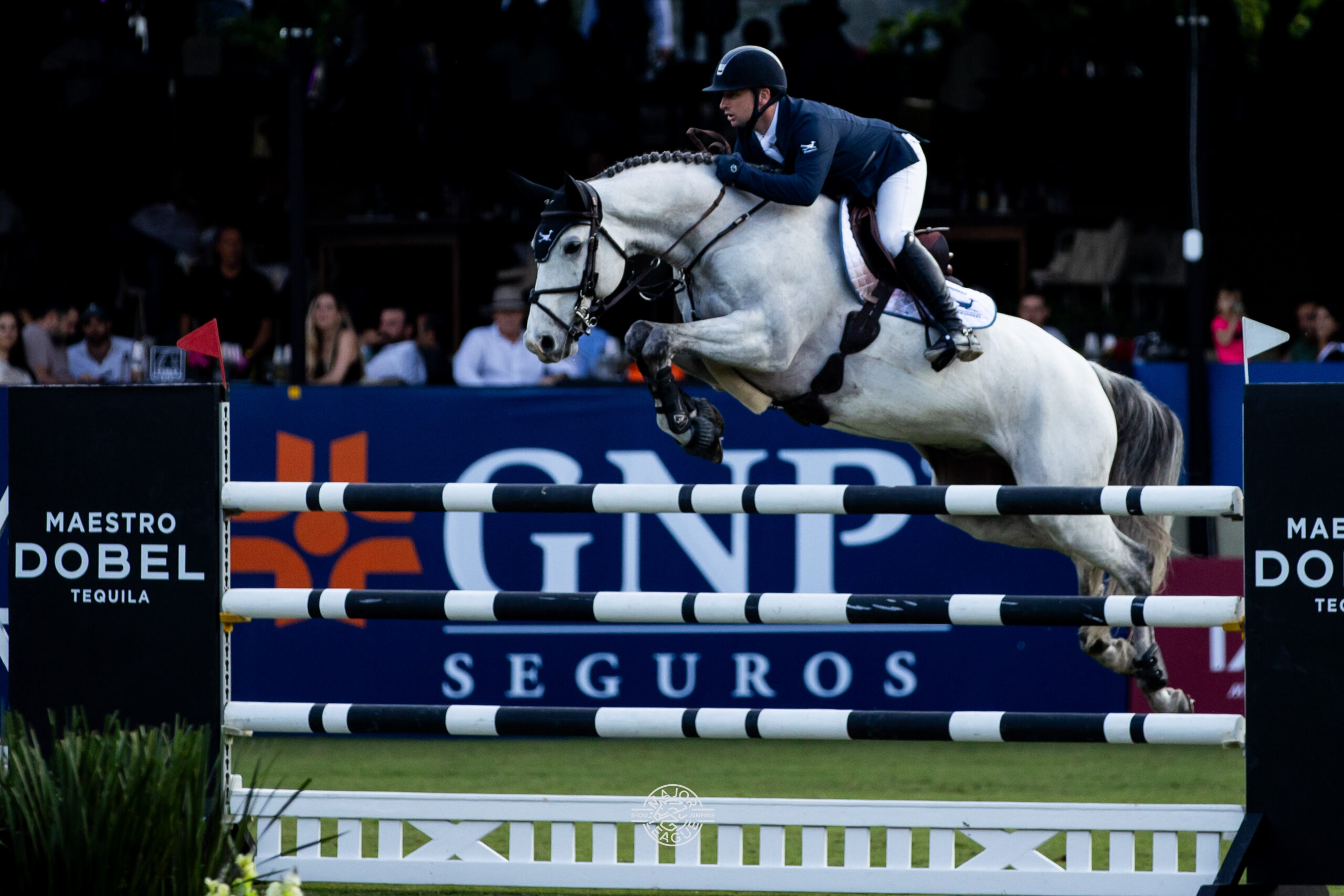 Richard Howley headlines this week's showjumping news with victory for the Roadrunners in La Silla on the Major League Showjumping.