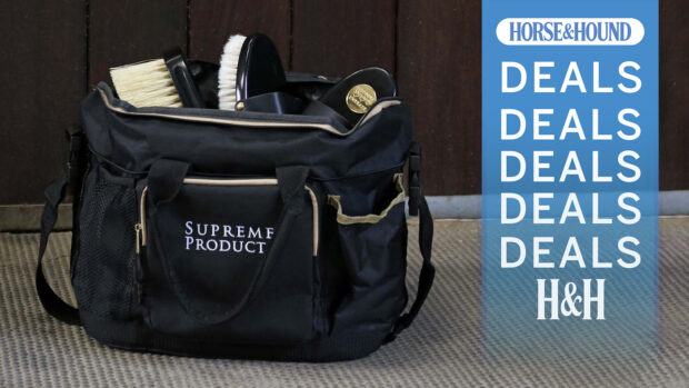 Supreme Products Complete Horse Pro Groom Perfection Set with H&H deals graphic