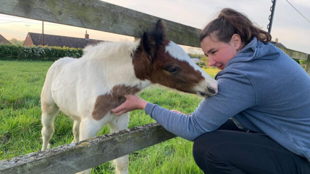 World Horse Welfare groom Kathryn Coombes at Hall Farm in Norfolk.