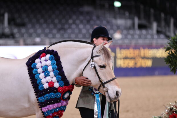 2024 SSADL in-hand finals at London Horse Show