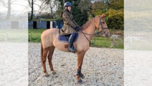 LeMieux Anya long riding coat