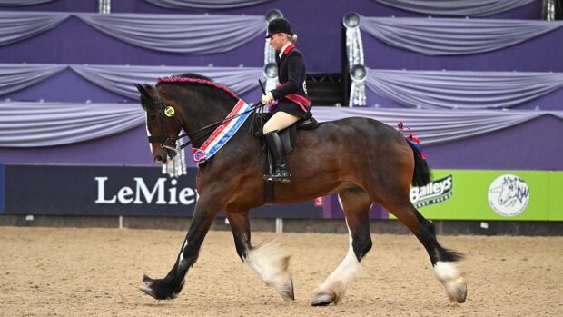 Moorfield Nancy and Alice Pimbley are ridden heavy horse champions at HOYS 2024.