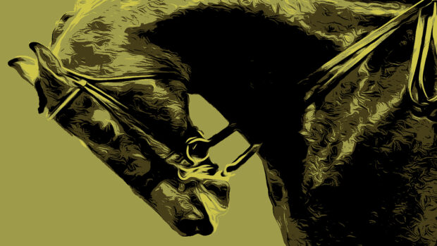 A horse in rollkur