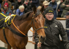 Tattersalls December Mares Sale