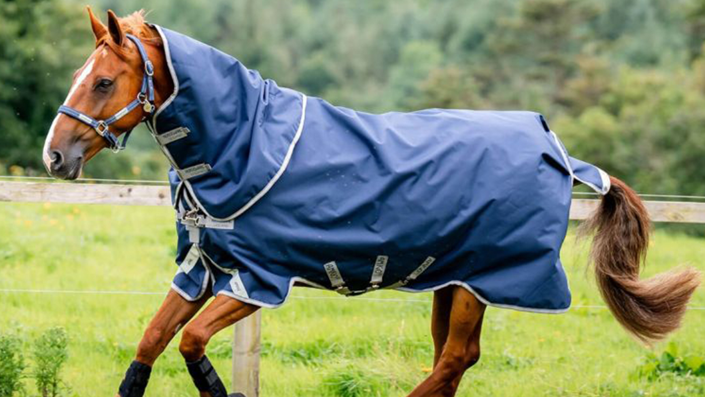 Horseware Amigo Bravo 12 Plus Turnout Rug