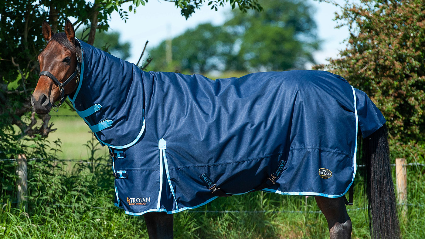 Gallop Trojan Combo heavyweight Turnout rug