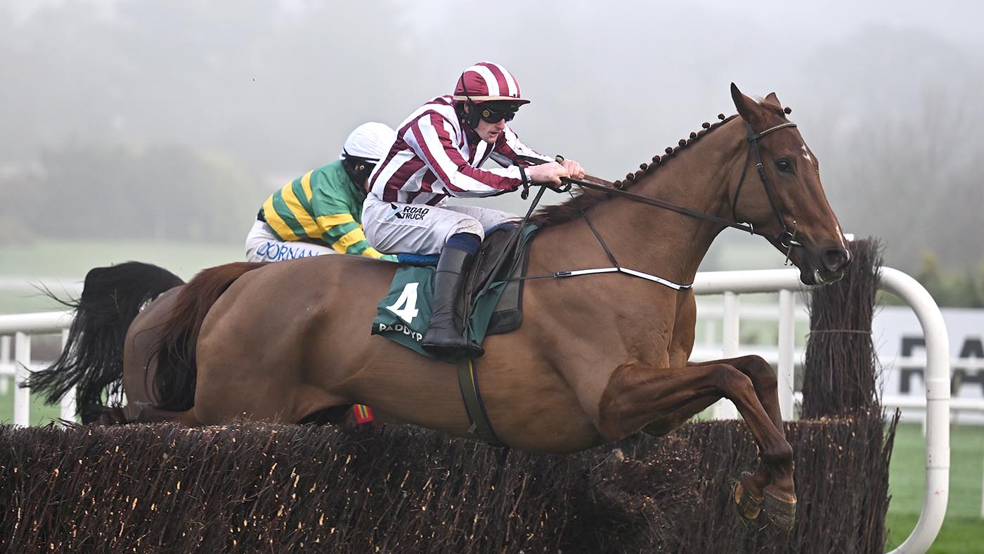 Meet 18hh-plus racehorse Jeannot Lapin, who won at odds of 150/1