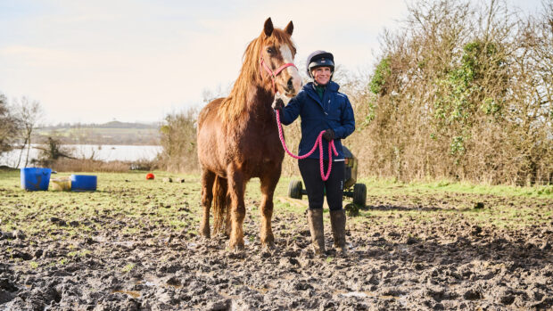 Bringing show horse back into work: muddy hairy pony