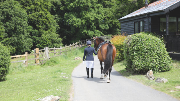 A horse rider leading a horse away from the camera on. track