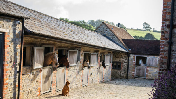 Building your own stables