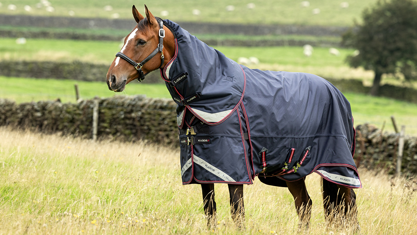 LeMieux Kudos Thermo Layer Turnout Rug