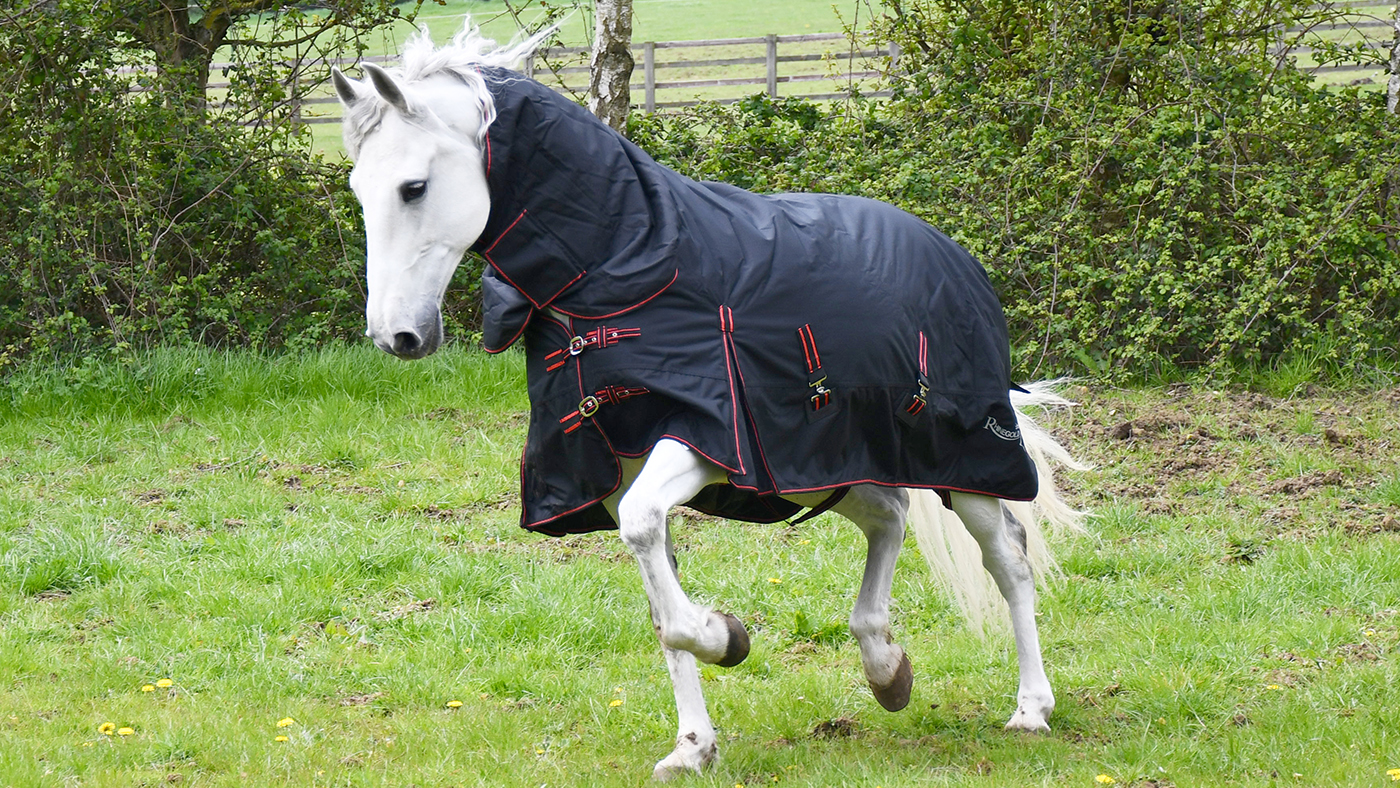 Rhinegold Aspen Turnout rug