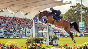 A horse jumps a tall upright fence in front of packed stands at Dublin Horse Show.