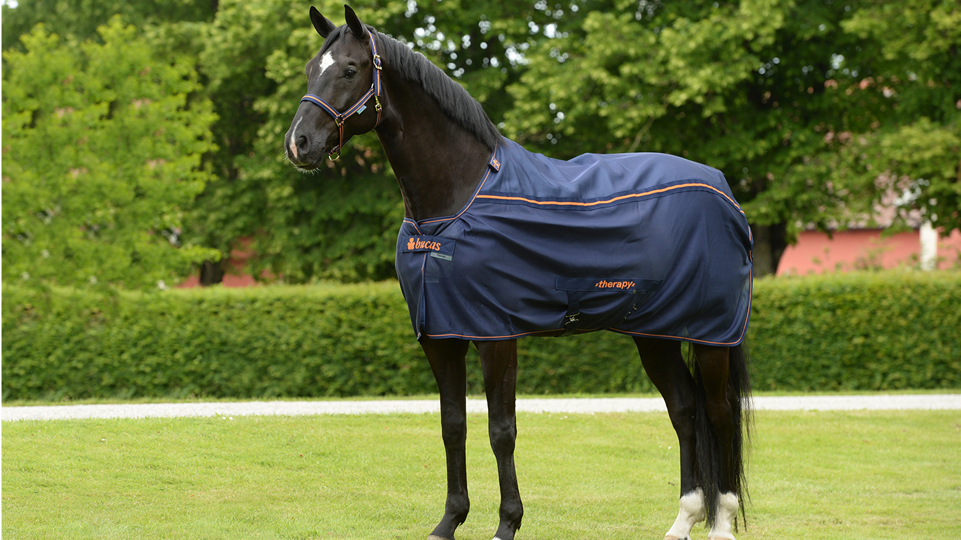Bucas Therapy Cooler Rug