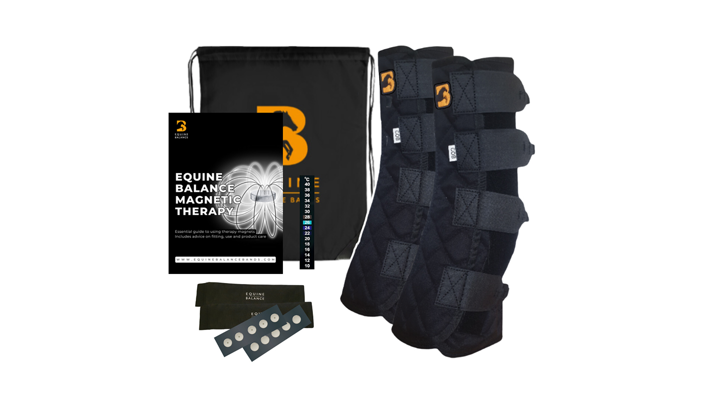 Equine Balance Magnetic Therapy Boots