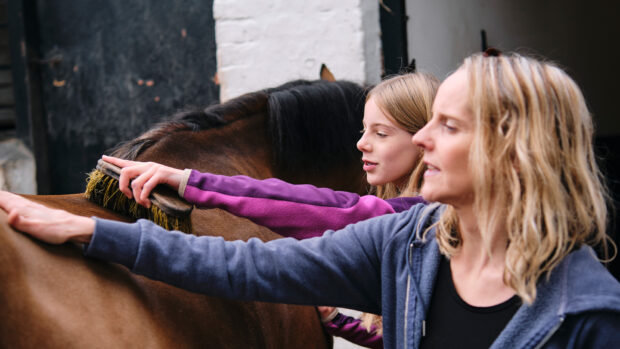 Mother and daughter grooming a horse together