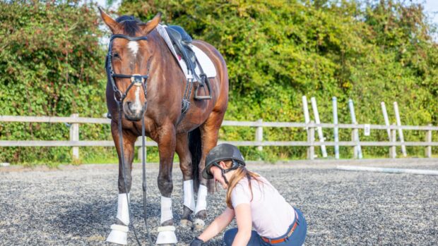 Woman on the floor after falling off a bay horse