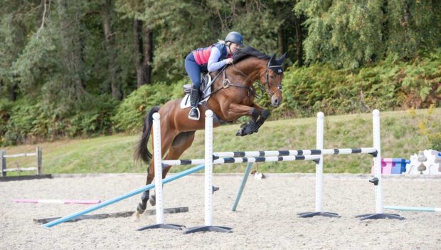 Gemma Stevens gridwork