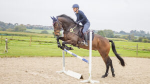 Alex Bragg training a young horse at home