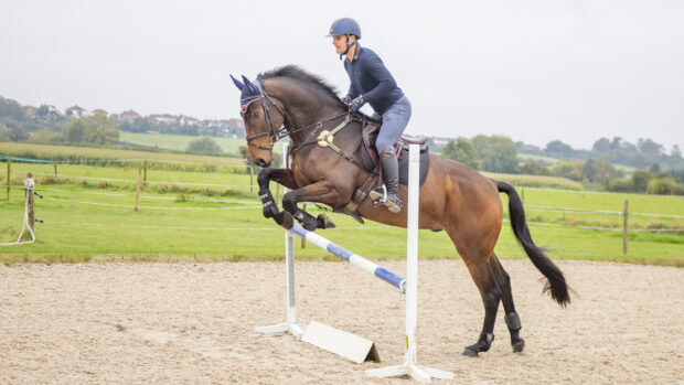 Alex Bragg training a young horse at home