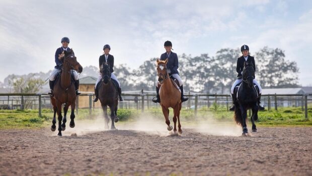 Riding in a group situation, four horse riders