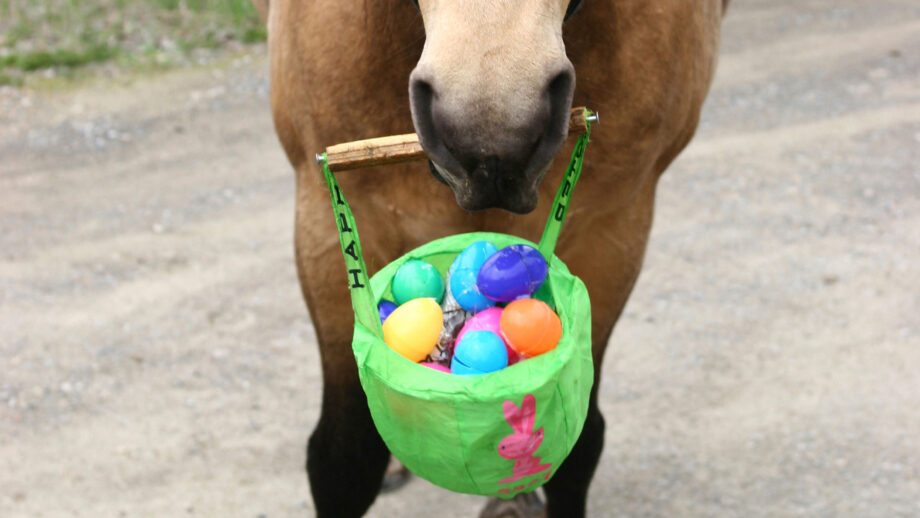 Horse holding basket of Easter eggs in his mouth