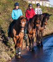 Anna Ross and two other members of her team hacking out on the quite roads near her yard.