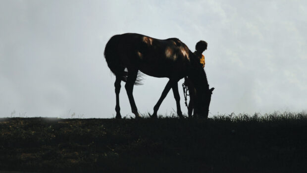 Loss of use insurance