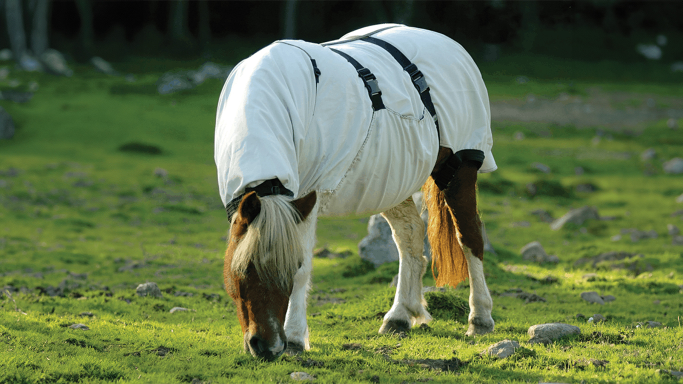 Boett blanket sweet itch rug